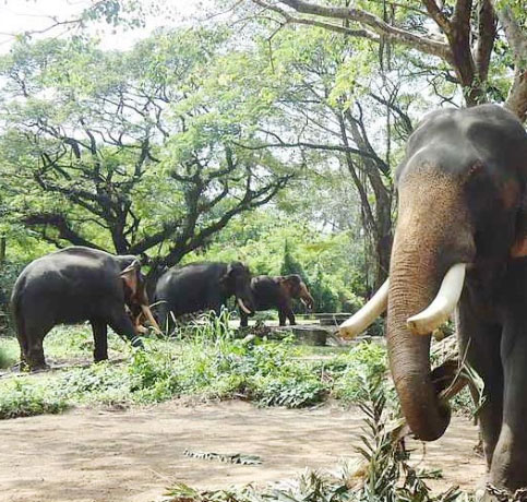 Anakotta tourist spot